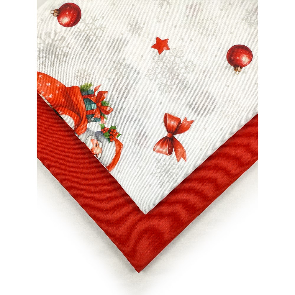 Bis strofinacci cm.52x72 SANTA CLAUS