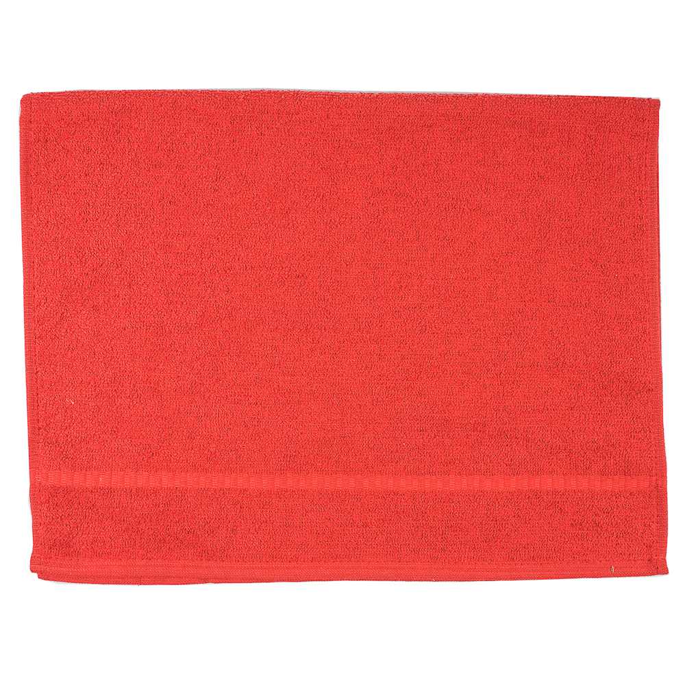 Ospite spugna FLAVIA cm.60x40