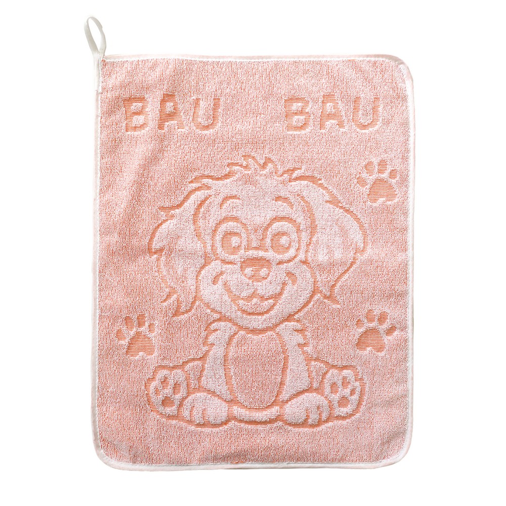 Asciugamano BUDY  cm. 40x50 in spugna